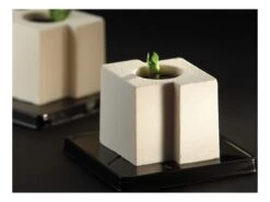 Moule Silicone Pavoflex - 24 Cubes Tekno - 60 X 40 Cm - Pavoni